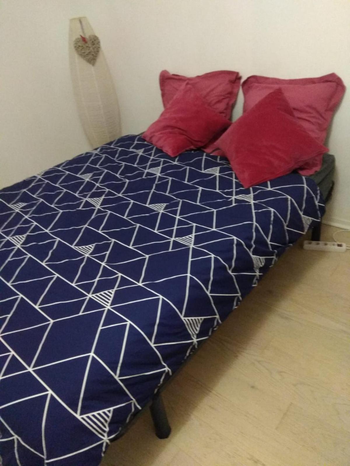 Super Cosy, à Deux Pas Du Tram Appartement